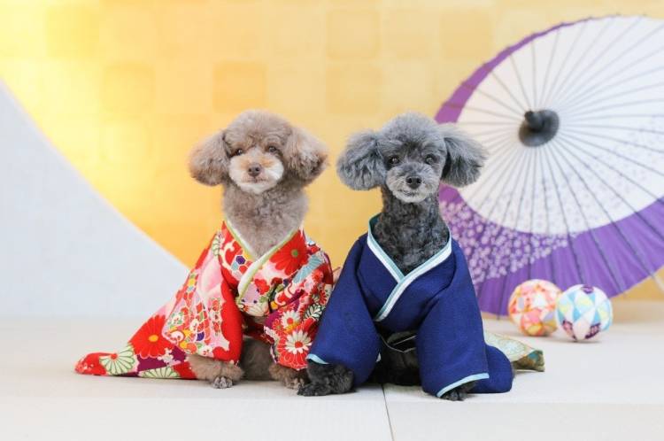 ありがとうございました