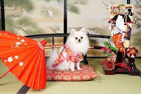 お疲れ様でした