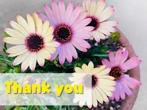 ありがとう♡
