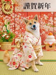 お疲れ様でした