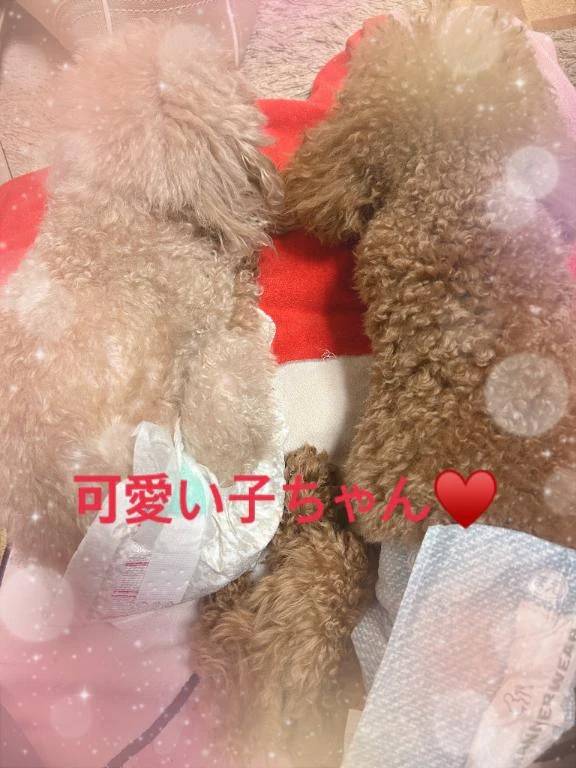 おはよぉ🍃🌸🐝🌸🍃