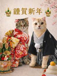 お疲れ様でした