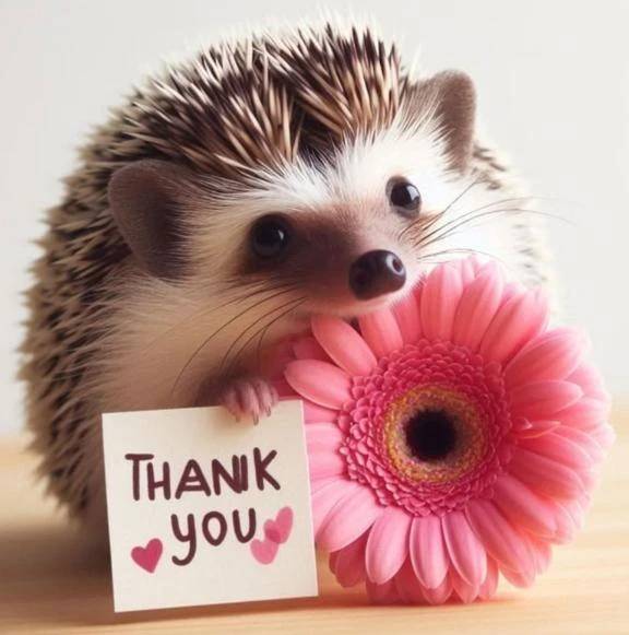 事前ご予約あリがとうございます