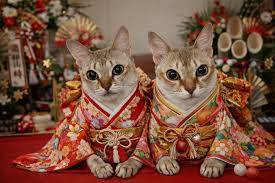 ありがとうございました