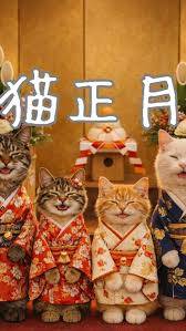 予想最高気温は１５℃