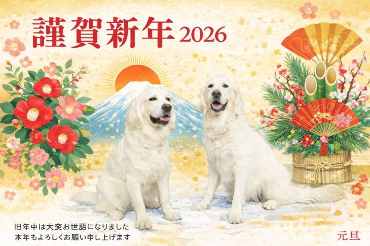 予想最高気温は５℃