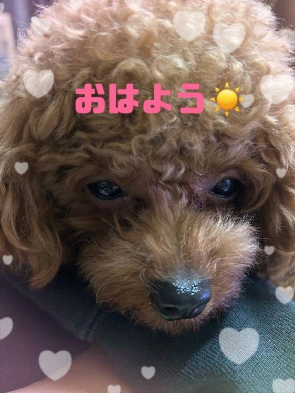 こんにちは(*ˊᵕˋ*)