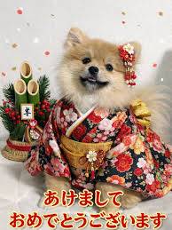 予想最高気温は13℃