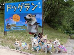 リピーターのＴ様に感謝～です