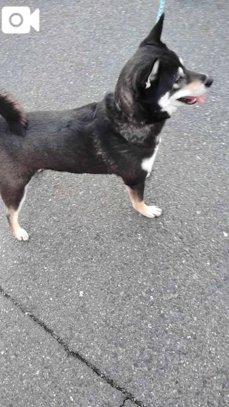 おはようございます😊