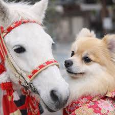 お疲れ様でした