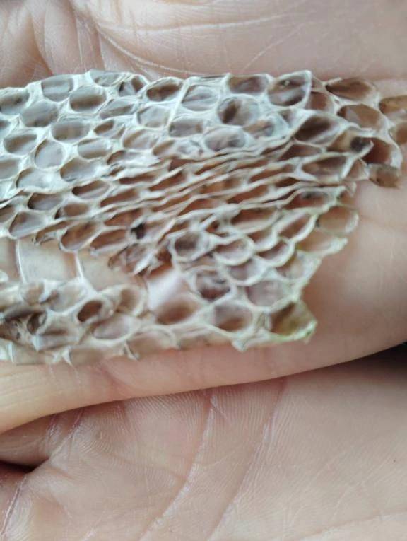 おはようございます😊