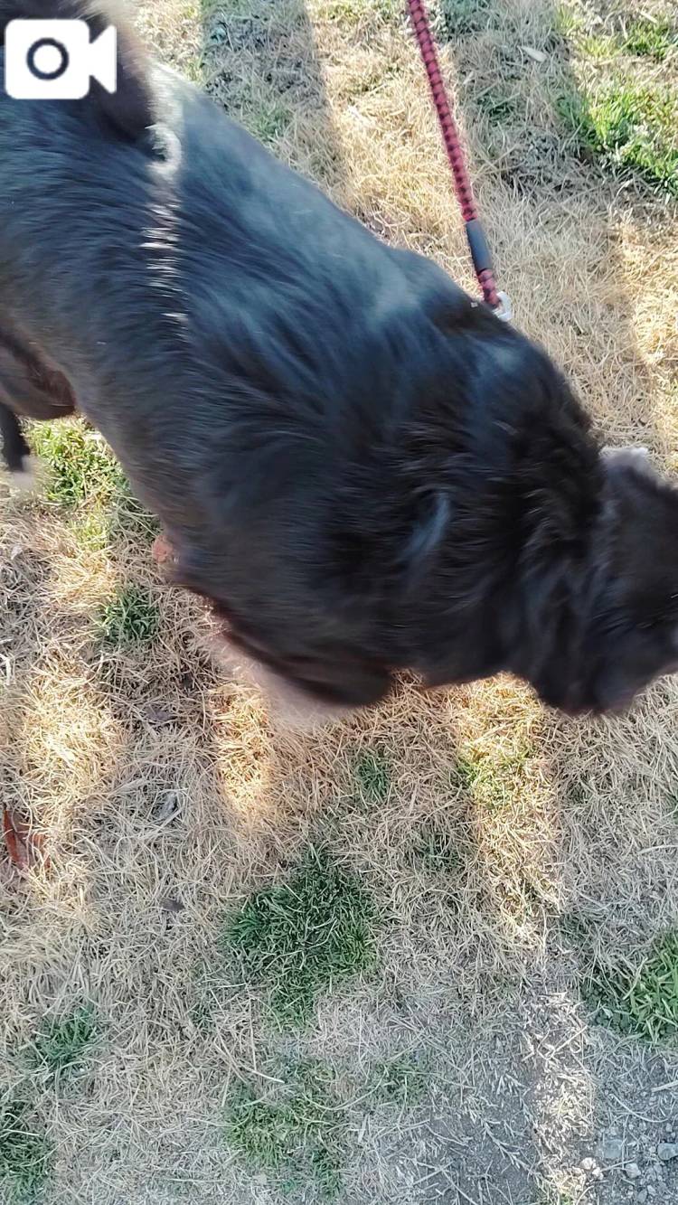 おはようございます😊