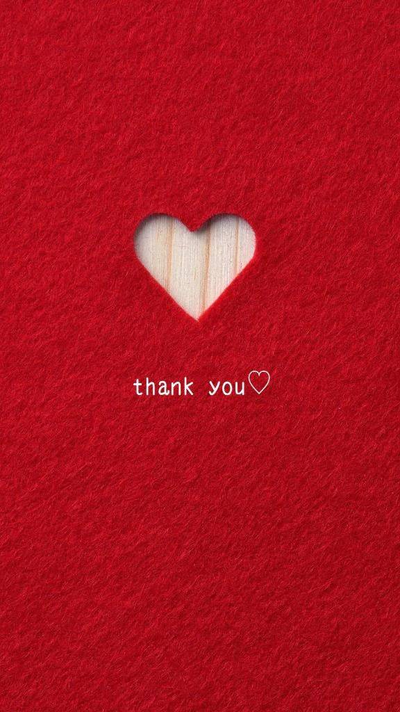 サンパレスの貴方様🦩