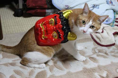 明日は出勤の予定でしたが、お休みさせていただきます