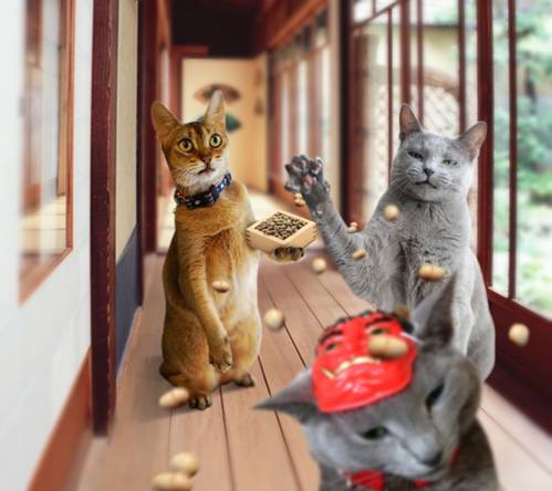 お休みさせていただきます