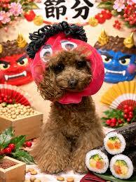 おやすみなさい