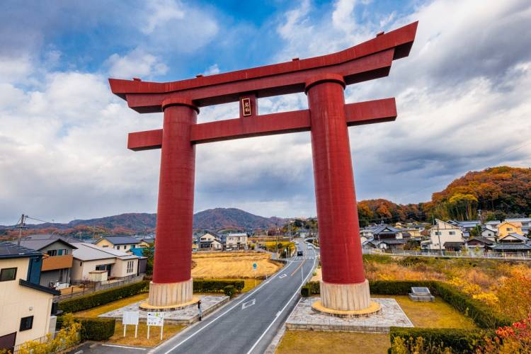 リピーターのＯ様に感謝～です