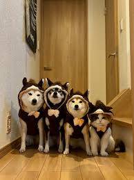 ありがとうございました