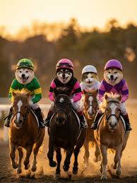 予想最高気温は５℃