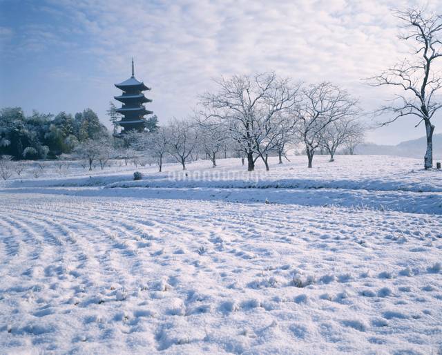 予想最高気温は９℃