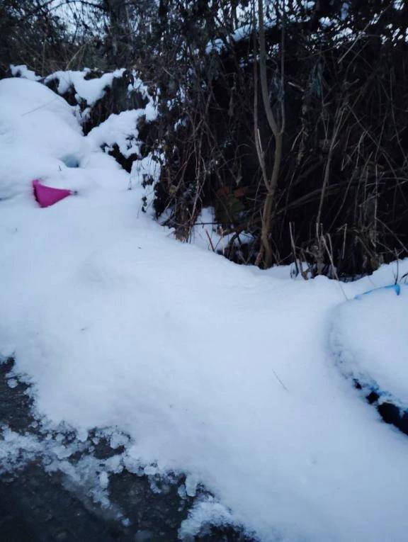 おはようございます😊