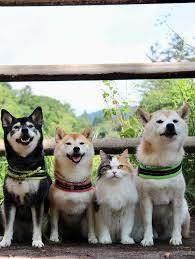 ありがとうございました