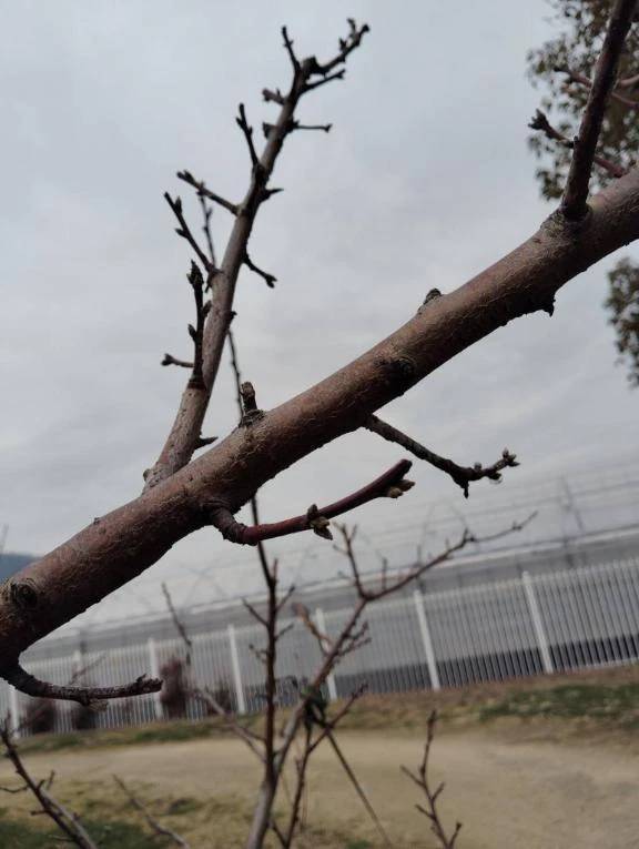 おはようございます😊