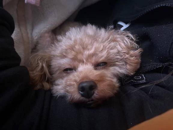 おはよぉ🍃🌸🐝🌸🍃