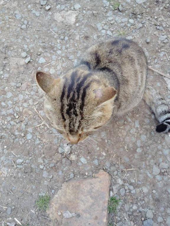 おはようございます😊