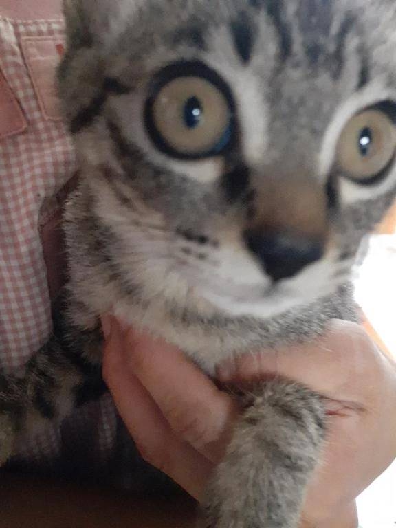 おはようございます😃😃