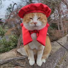 本日も宜しくお願いいたします