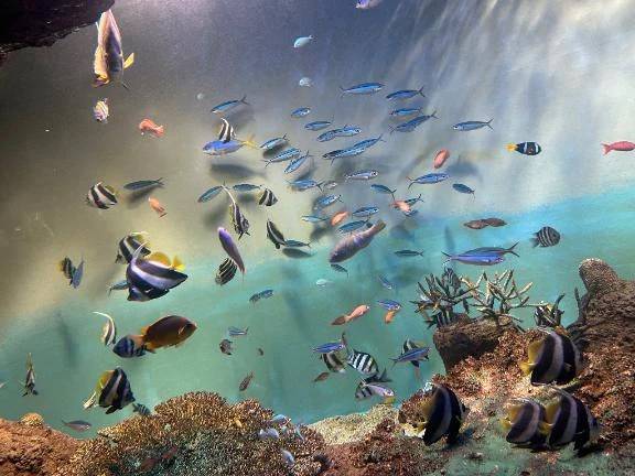 まだ出勤してないのに😢