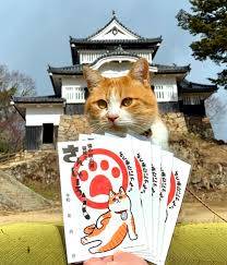 今月最後の水曜日