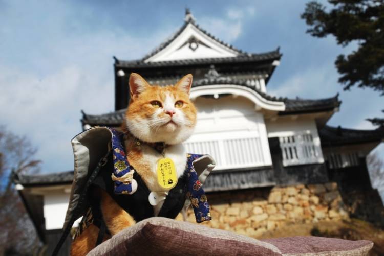 今月最後の木曜日