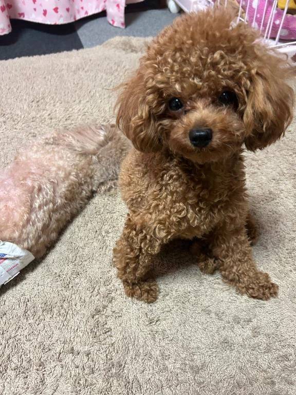 おはよぉ🍃🌸🐝🌸🍃