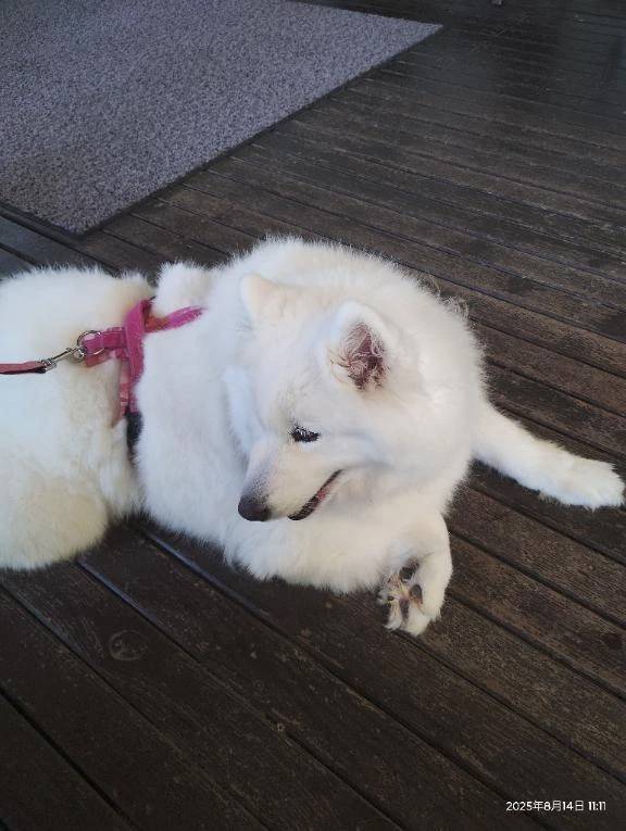 グッモーニン(*^^*)