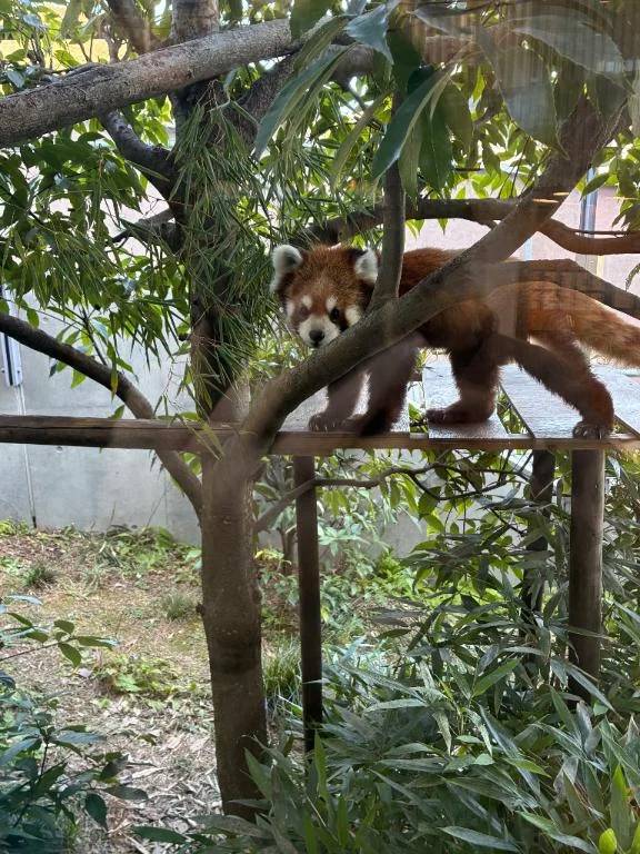 おはようございます。