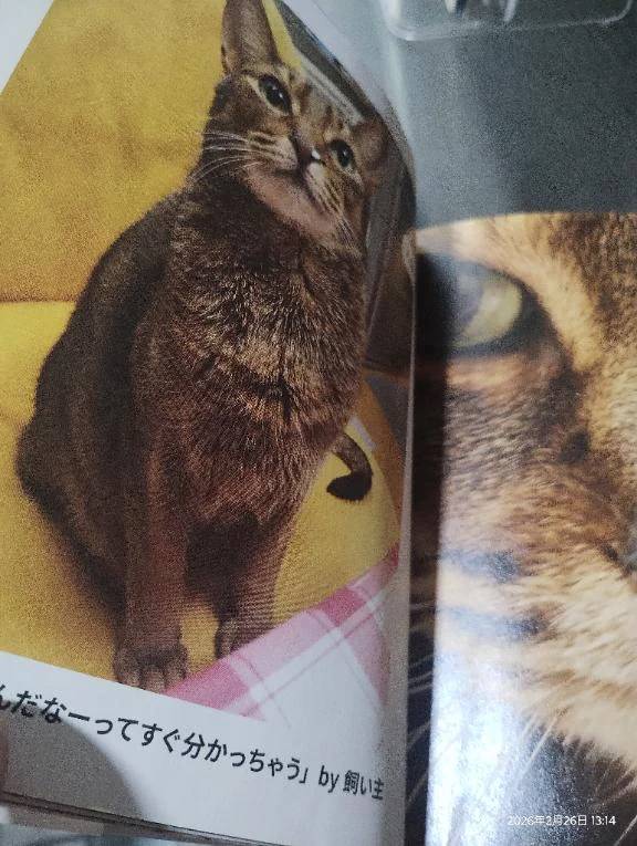 美容院なぅ(*^^*)