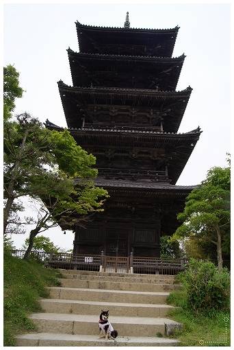 今月最後の金曜日