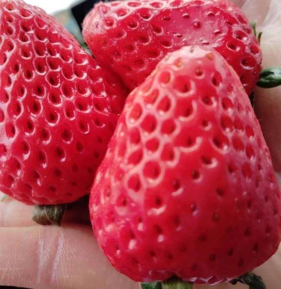 おはようございます😊