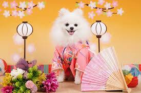 ありがとうございました