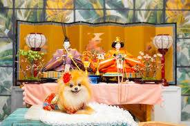 予想最高気温は14℃ 降水確率は80%