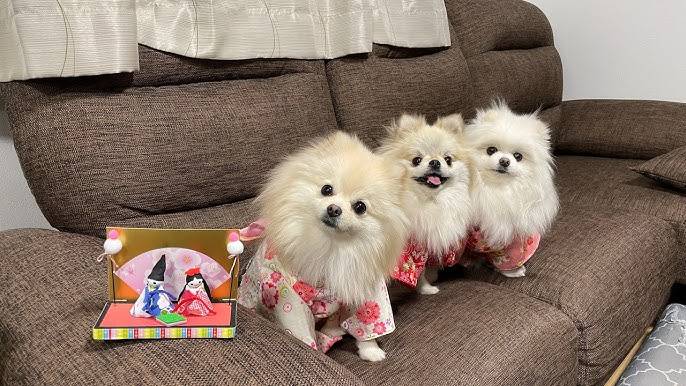 おやすみなさい