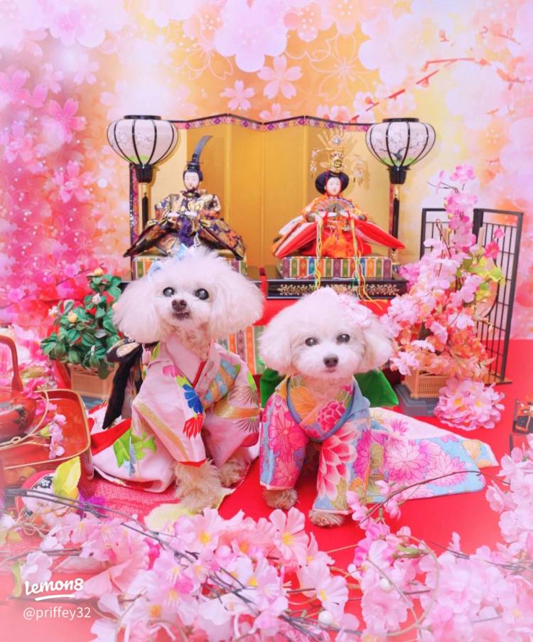 ありがとうございました