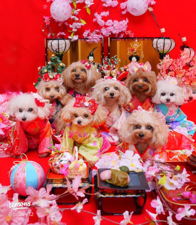 予想最高気温は昨日と同じ14℃