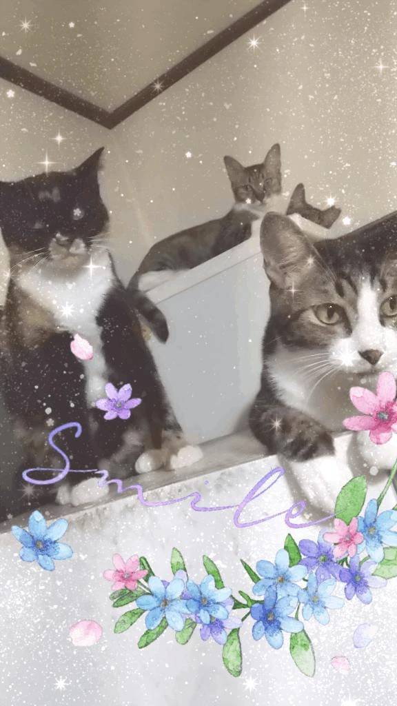 神田ひかる　体験