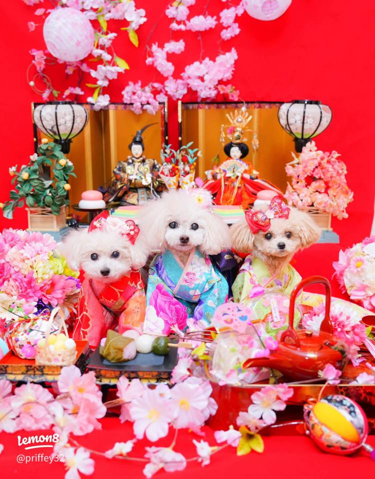 おやすみなさい