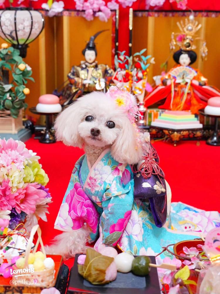 ありがとうございました