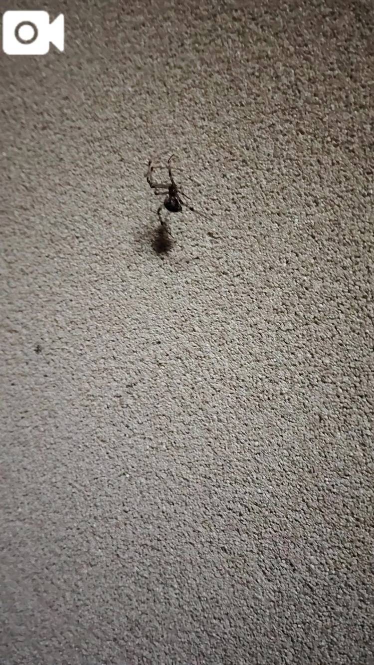 みか　「緊急体験」旦那がいない時だけ出勤